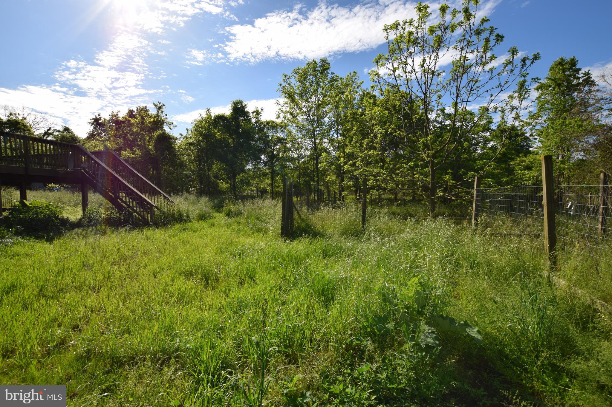 17301 Conoy Road Barnesville, MD 20838 - Photo 15 of 48 Rear Yard