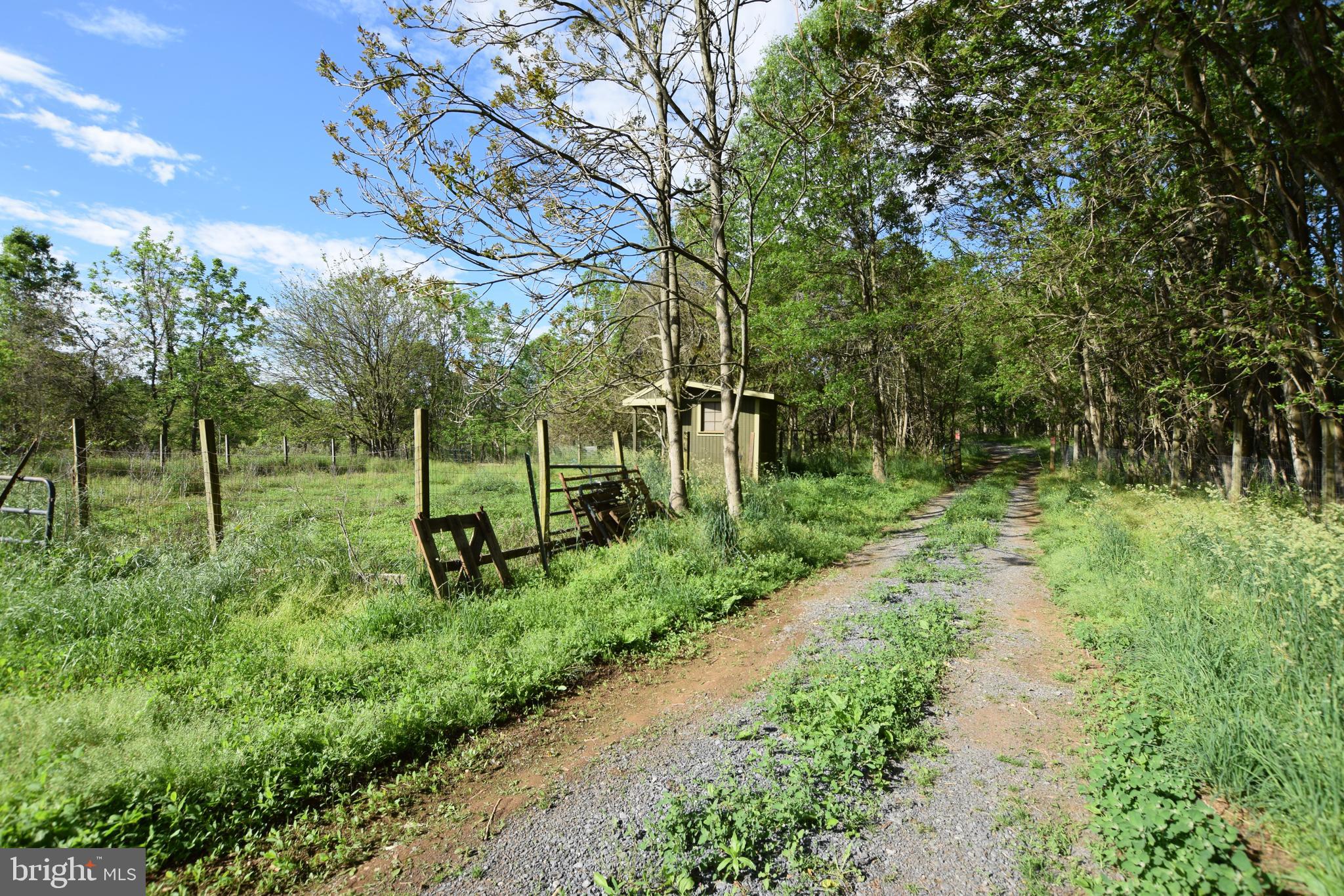 17301 Conoy Road Barnesville, MD 20838 - Photo 19 of 48 Driveway Heading Away from Home