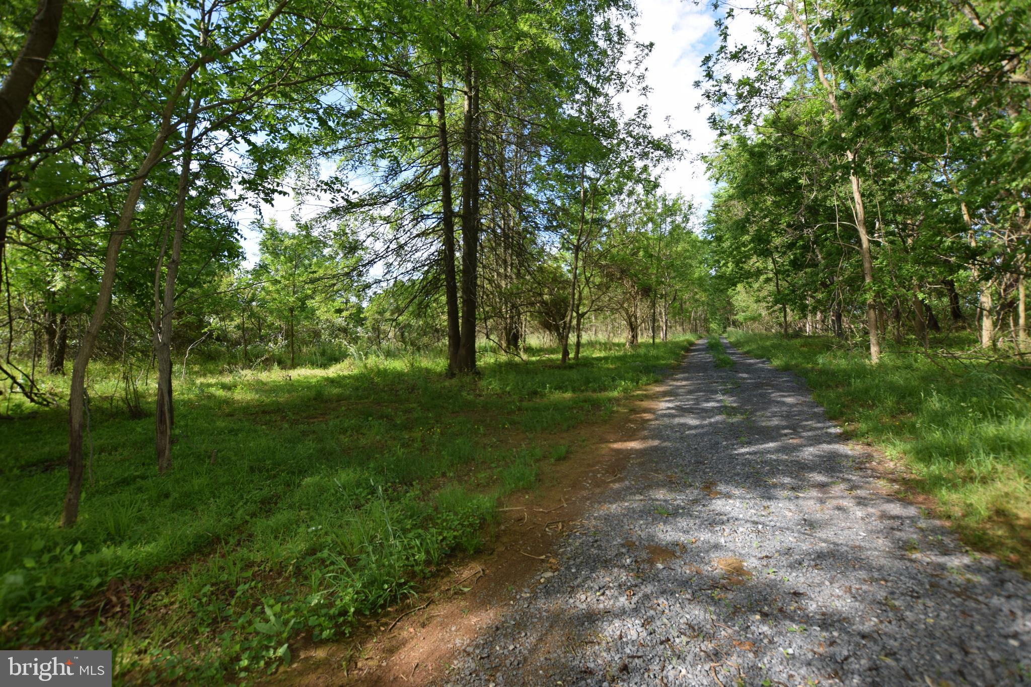 17301 Conoy Road Barnesville, MD 20838 - Photo 20 of 48 Driveway Heading Away from Home