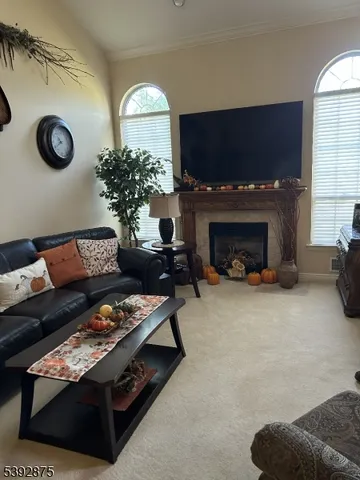 a living room with furniture a fireplace and a potted plant