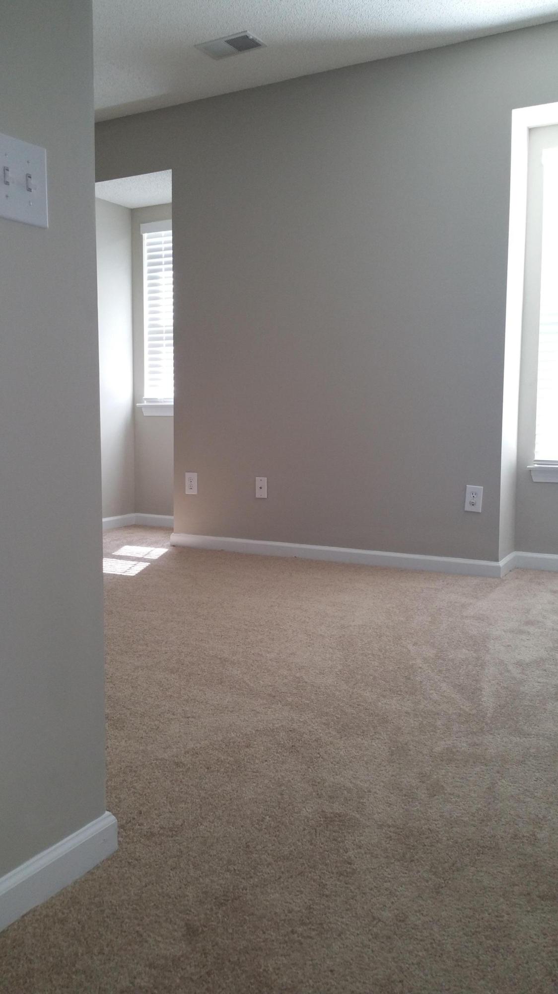 133 Graduate Lane Ladson, SC 29456 - Photo 28 of 44 Second bedroom 5