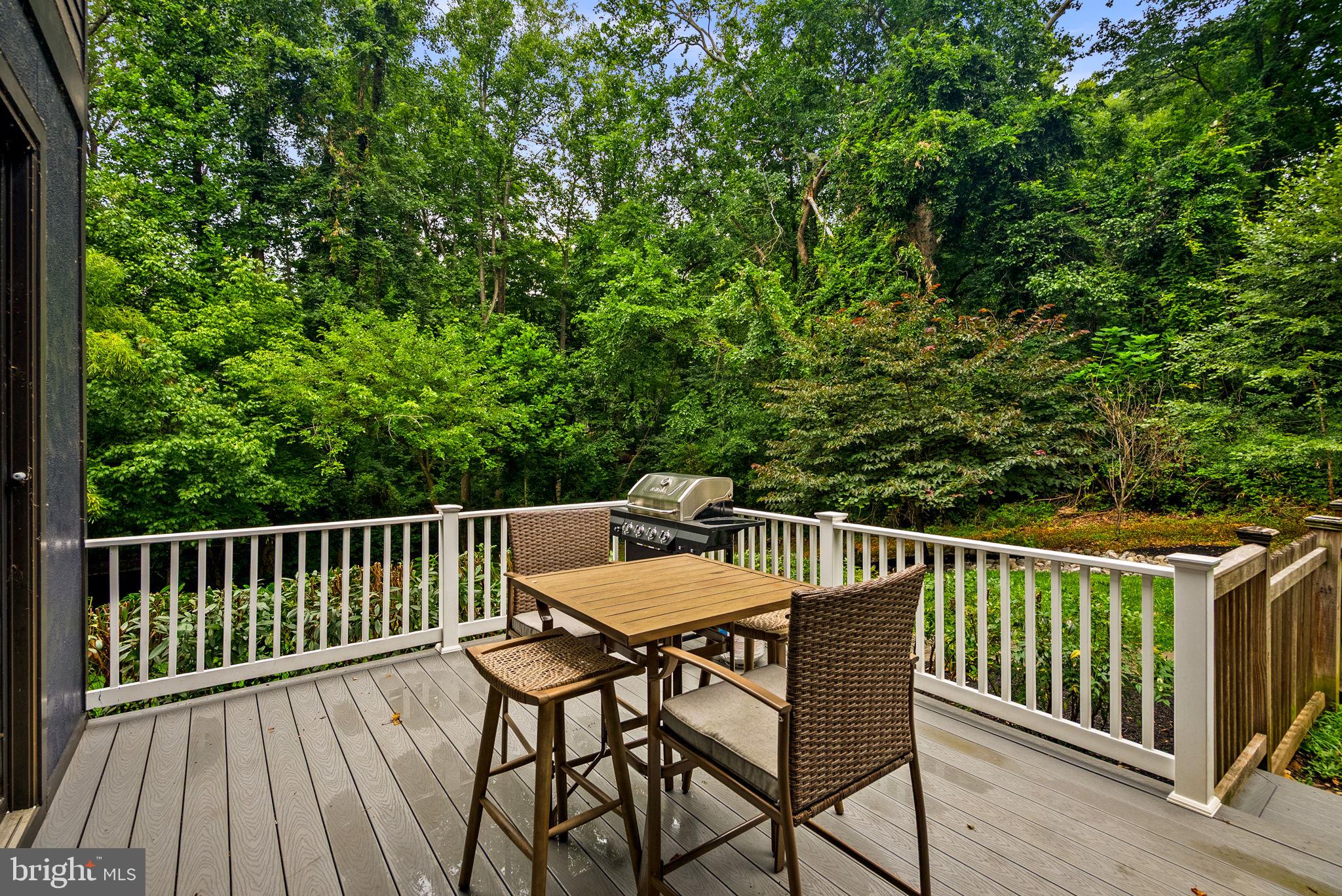 8025 Riverside Drive Cabin John, MD 20818 - Photo 17 of 75 Deck #2