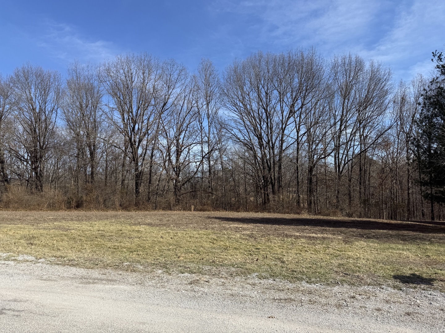 0 Oakview Road Carbondale, IL 62901 - Photo 4 of 8