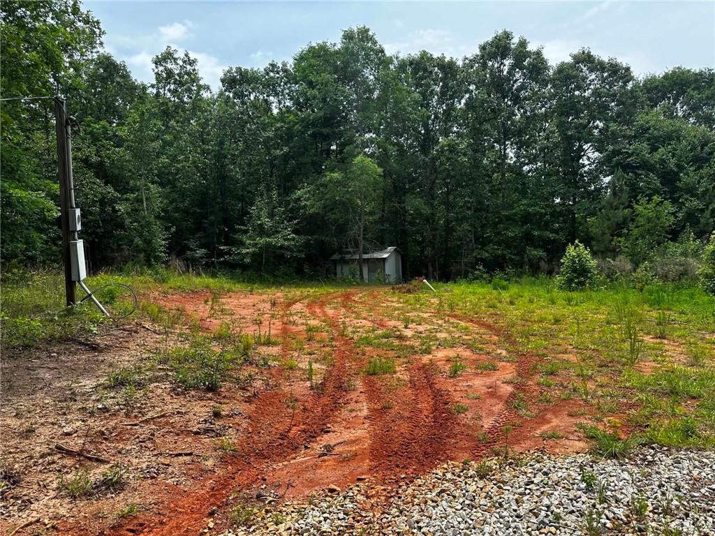 1957 Old Carnesville Road Commerce, GA 30530 - Photo 3 of 6 a view of backyard with green space
