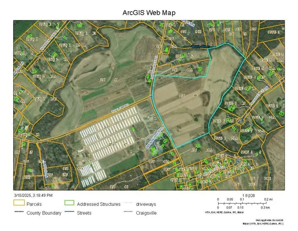 a black and white photo of a garden