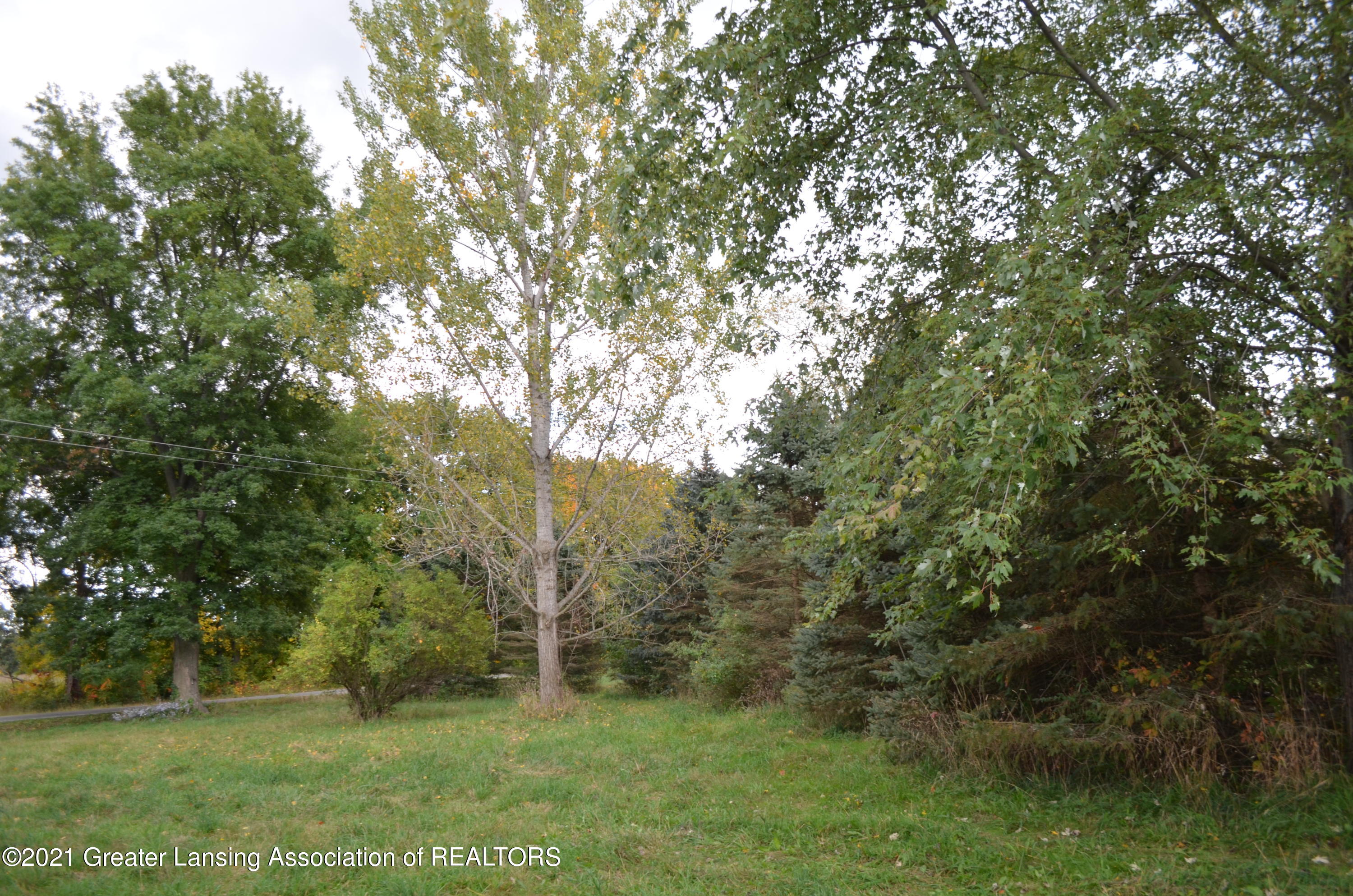 4676 Williamston Road Stockbridge, MI 49285 - Photo 19 of 19 Tree 1