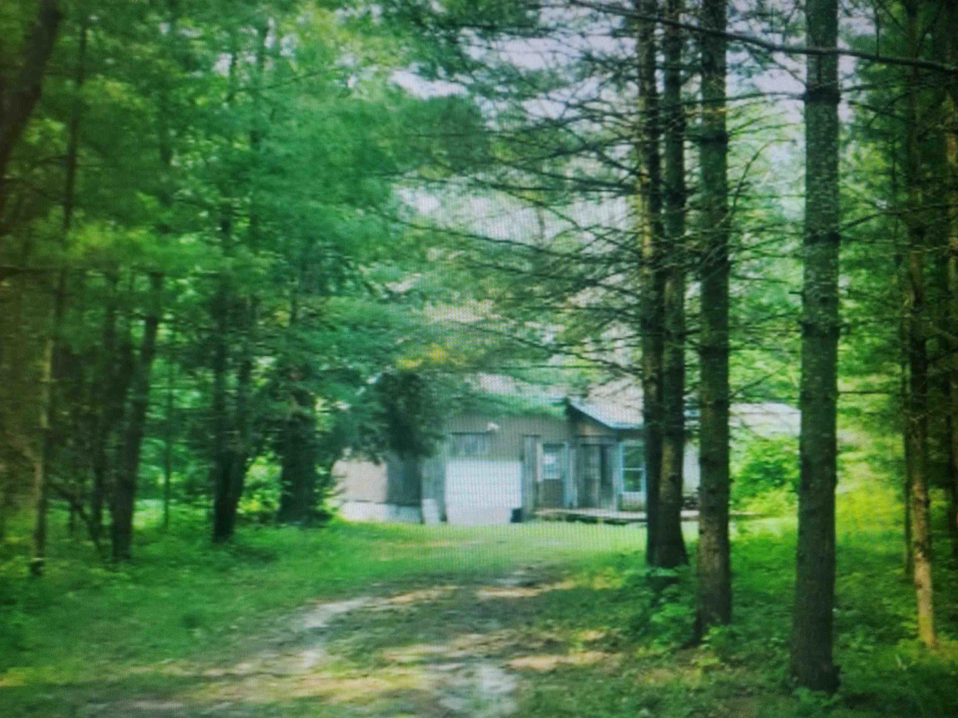 4684 South 1 Road Harrietta, MI 49638 - Photo 2 of 13