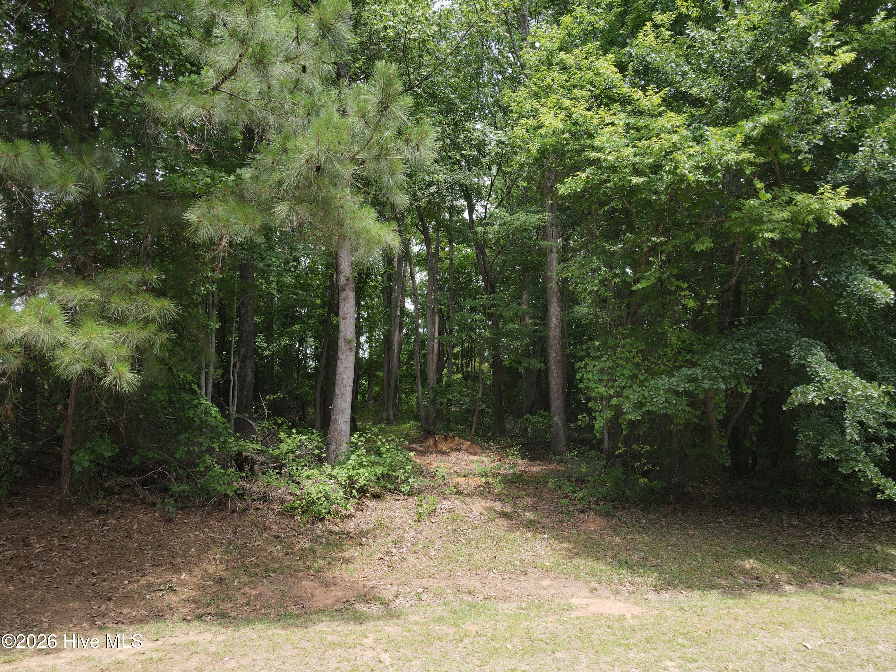 1814 J P Road Whitakers, NC 27891 - Photo 2 of 15