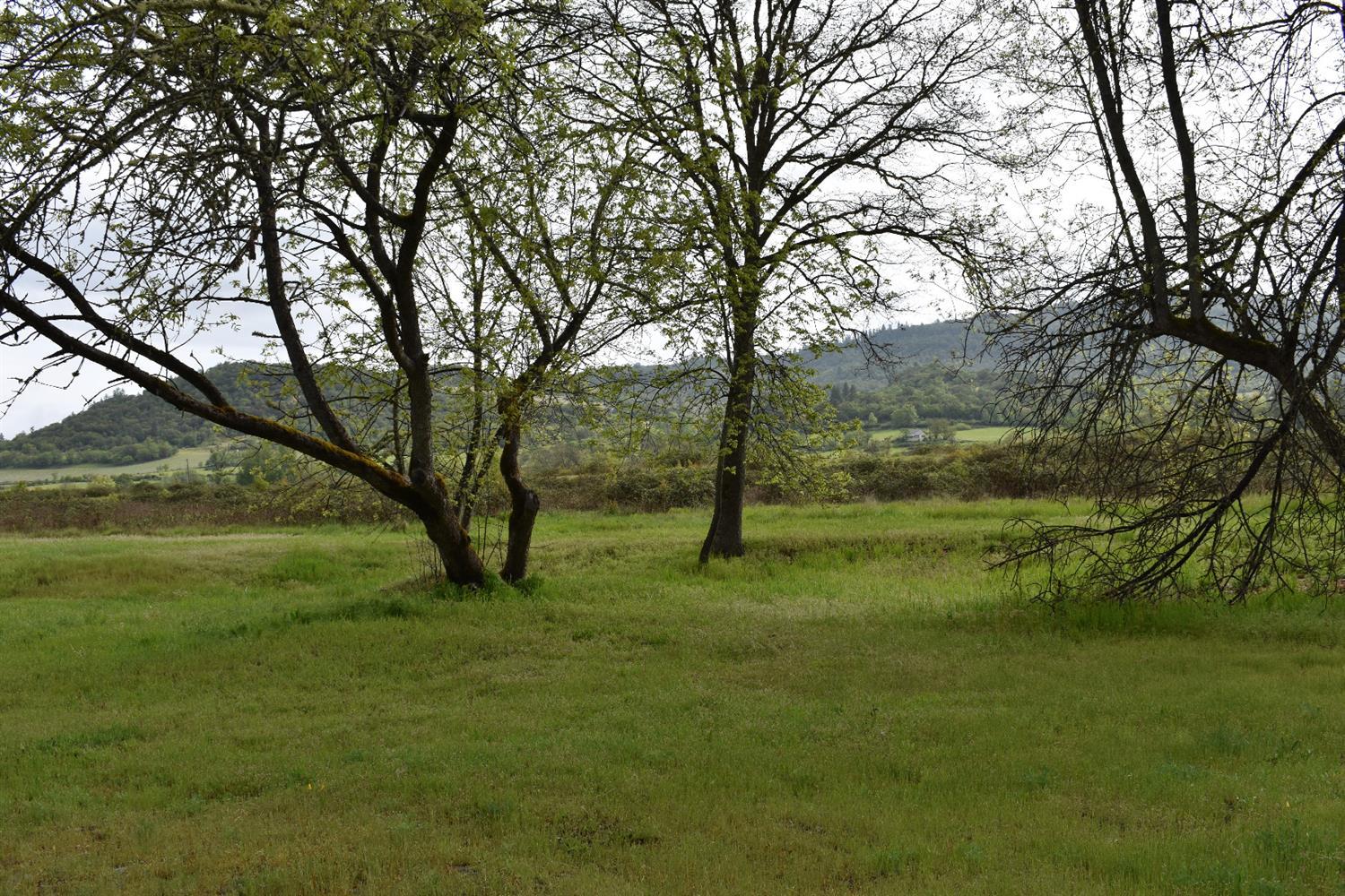 780 Yankee Creek Road Eagle Point, OR 97524 - Photo 26 of 29 Additional Photo