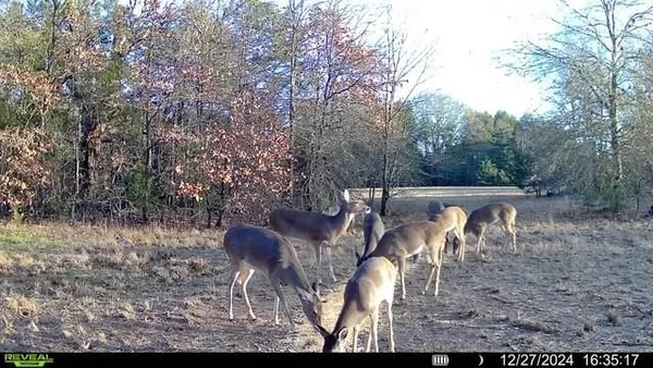 a view of balcony with wooden floor