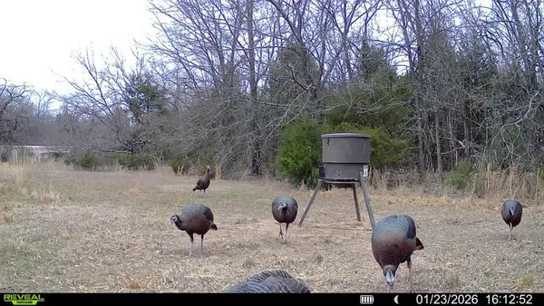 a view of a lake view