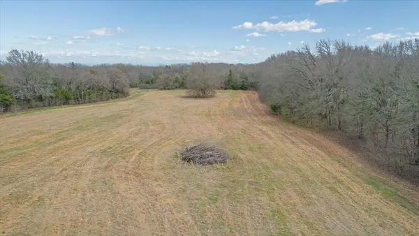 a view of a dry yard