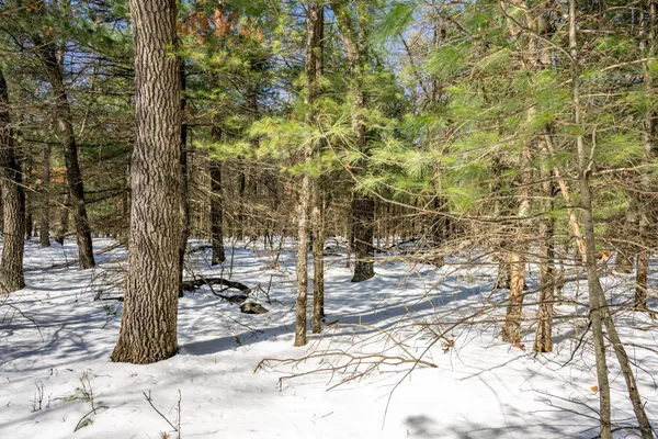 $57,000 | Lot 28 West 9th, Wisconsin Dells, WI 53965