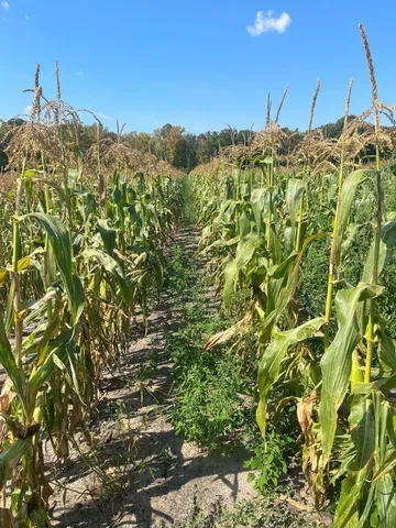 $975,000 | 5073 Coit Avenue Northeast, Grand Rapids, MI 49525