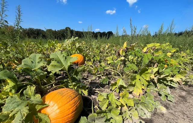 $975,000 | 5073 Coit Avenue Northeast, Grand Rapids, MI 49525