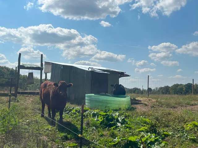 $975,000 | 5073 Coit Avenue Northeast, Grand Rapids, MI 49525