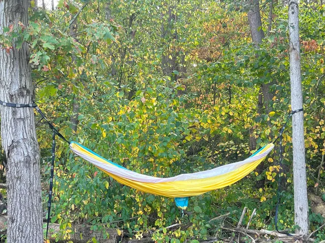 $975,000 | 5073 Coit Avenue Northeast, Grand Rapids, MI 49525