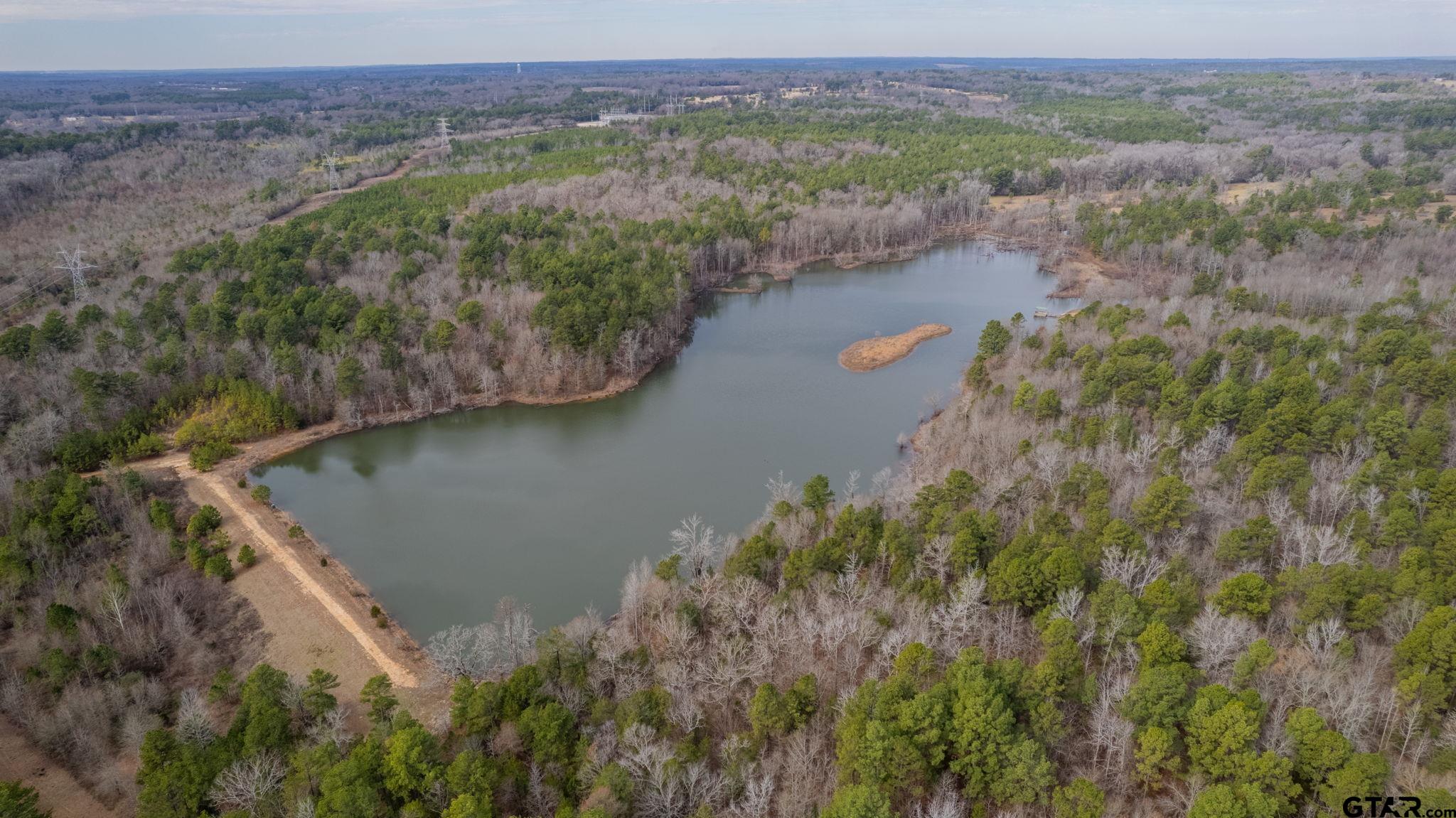 10351 County Road 383 Tyler, TX 75708 - Photo 1 of 33 an aerial view of mountain with lake view