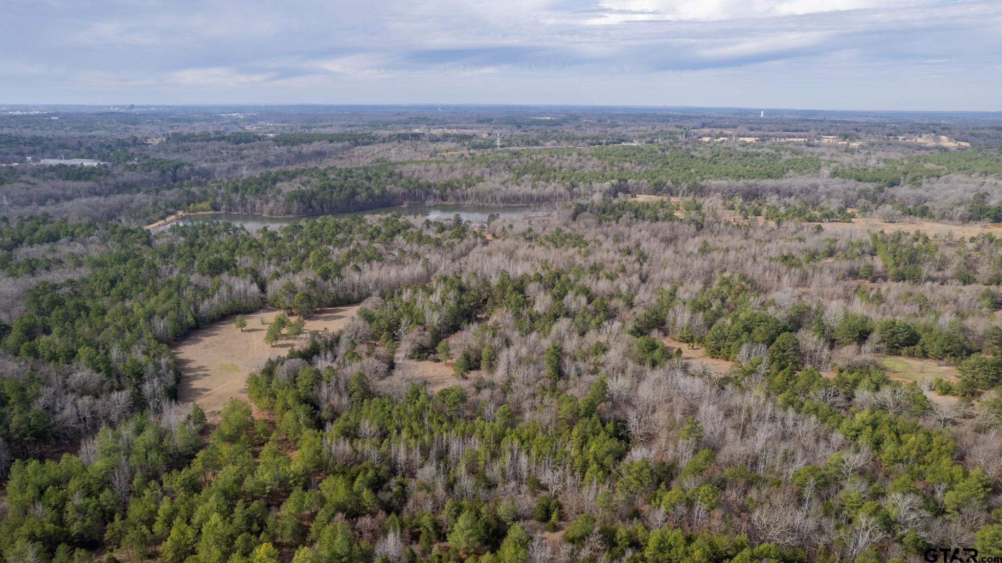 10351 County Road 383 Tyler, TX 75708 - Photo 11 of 33 a view of a city with lush green forest