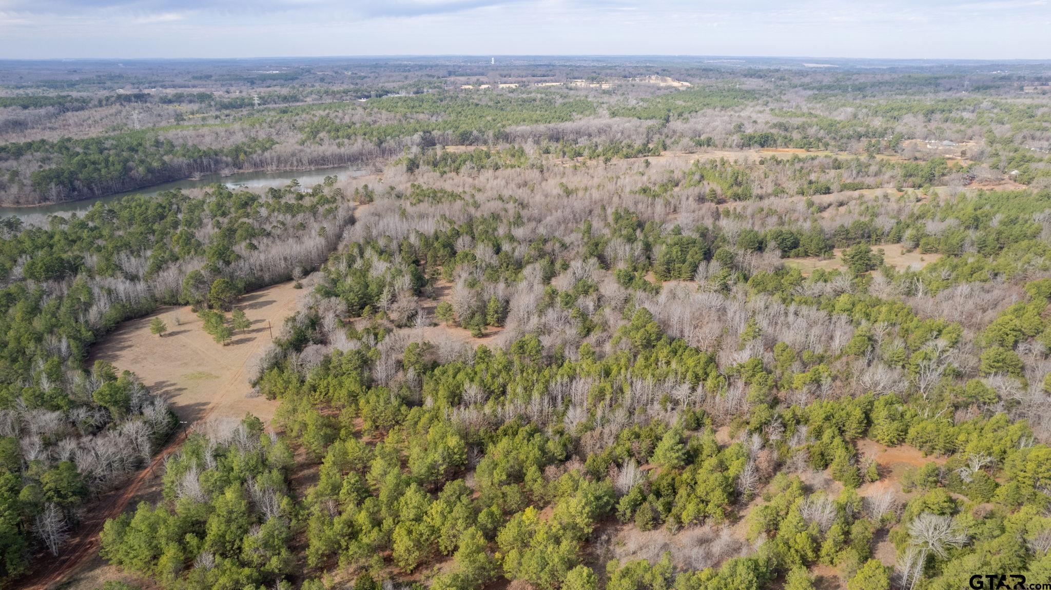 10351 County Road 383 Tyler, TX 75708 - Photo 12 of 33 a view of a field with a lush green forest