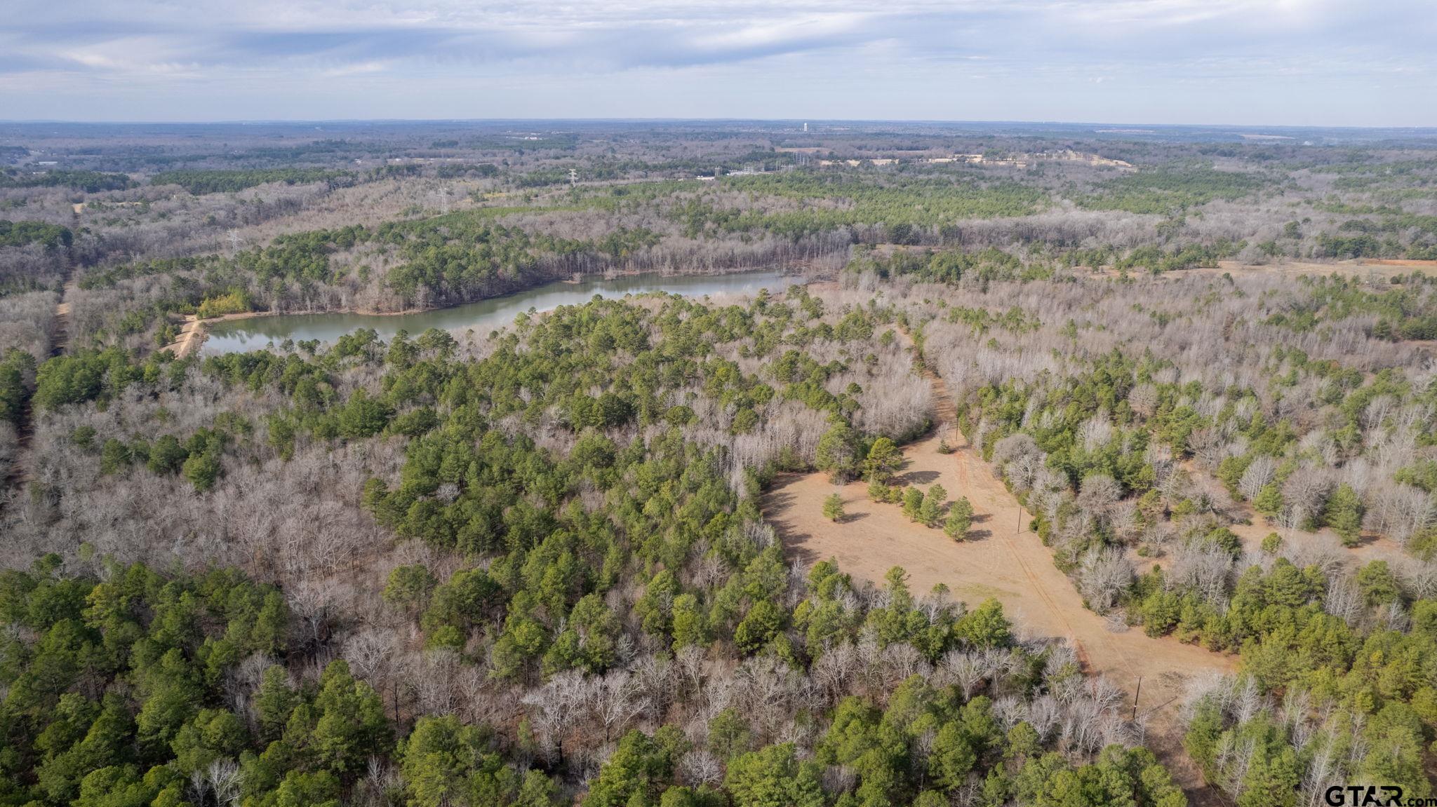 10351 County Road 383 Tyler, TX 75708 - Photo 13 of 33 a view of a city with lush green forest