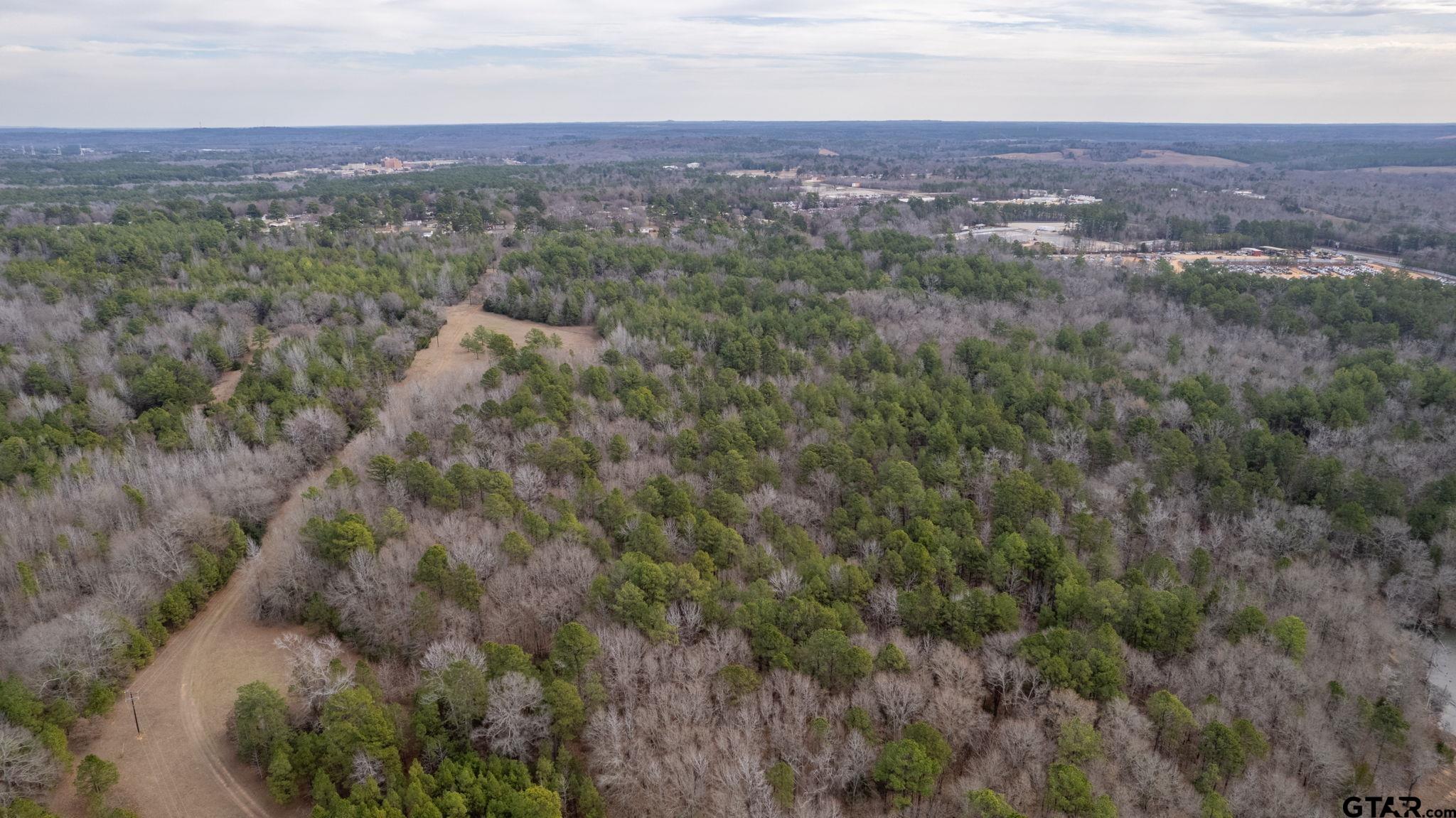 10351 County Road 383 Tyler, TX 75708 - Photo 16 of 33 an aerial view of residential houses with outdoor space and trees