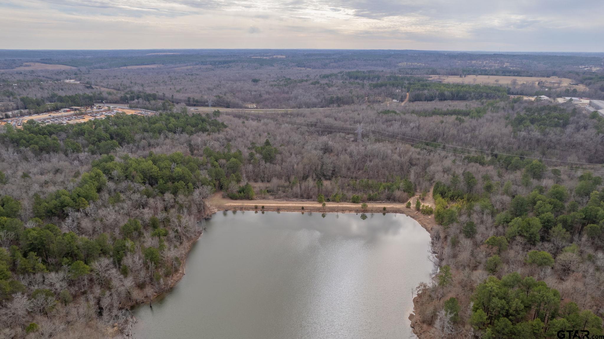 10351 County Road 383 Tyler, TX 75708 - Photo 17 of 33 an aerial view of house with yard and mountain in the back