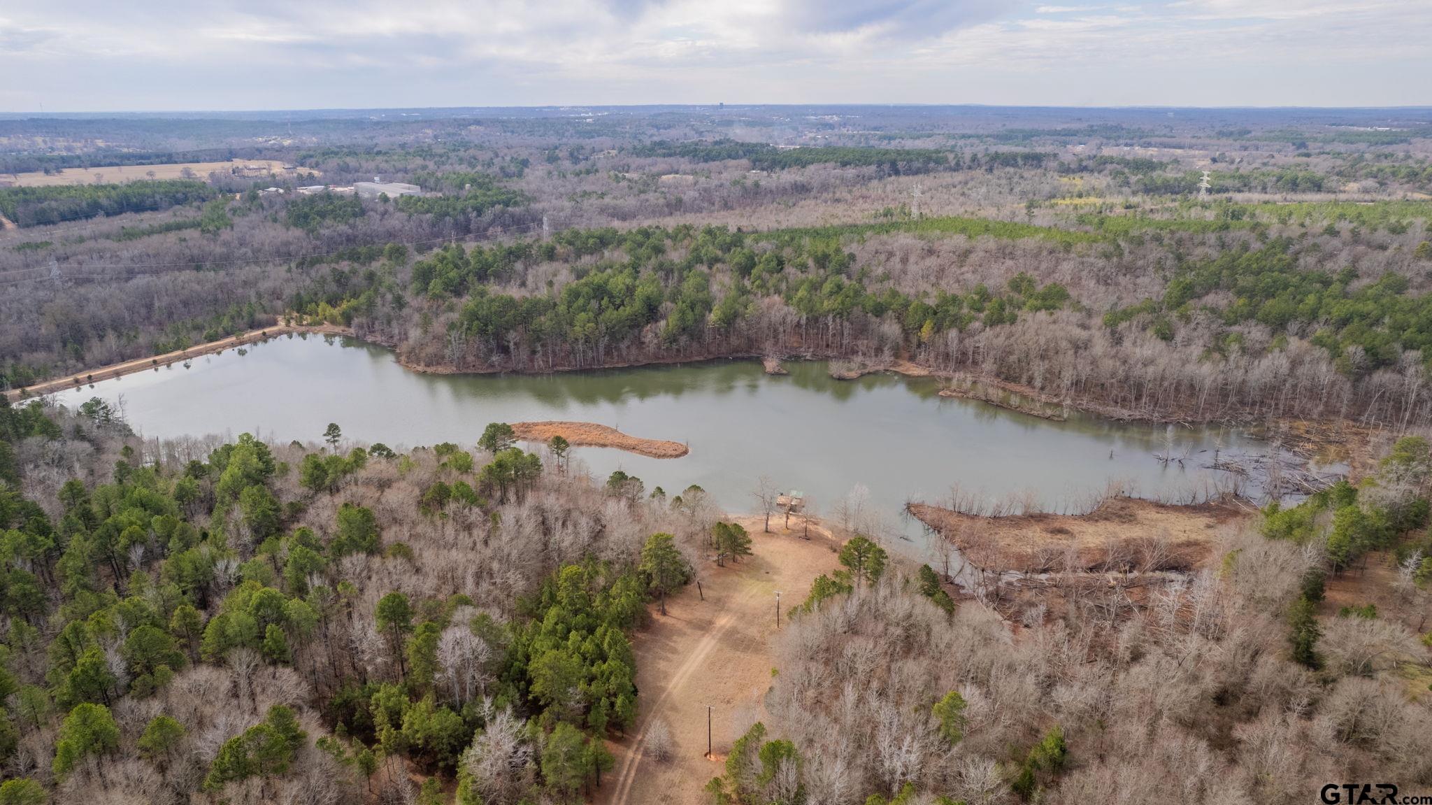 10351 County Road 383 Tyler, TX 75708 - Photo 19 of 33 an aerial view of mountain with lake view