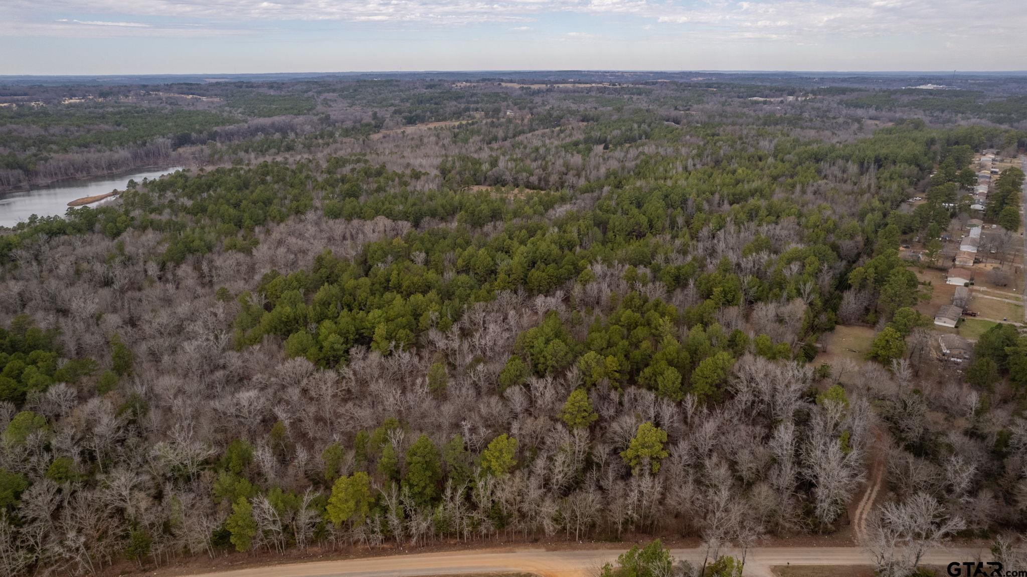 10351 County Road 383 Tyler, TX 75708 - Photo 25 of 33 a view of city and mountain