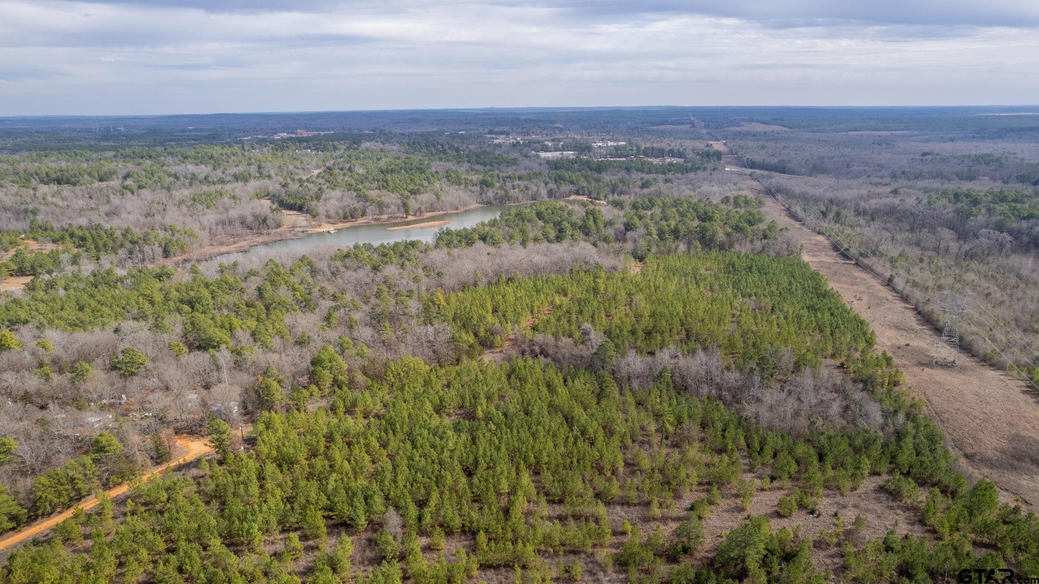 10351 County Road 383 Tyler, TX 75708 - Photo 27 of 33 a view of a field with an ocean