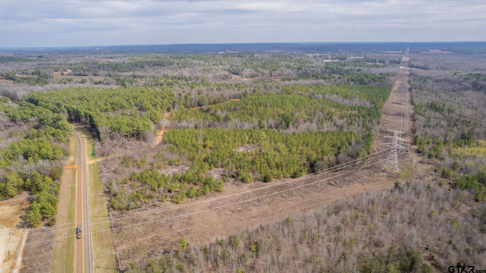 10351 County Road 383 Tyler, TX 75708 - Photo 30 of 33 a view of a dry yard with trees