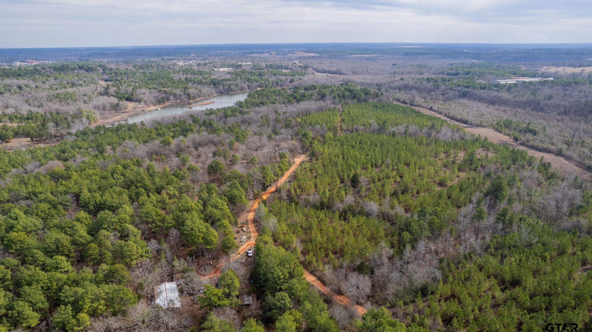 10351 County Road 383 Tyler, TX 75708 - Photo 31 of 33 an aerial view of residential houses with outdoor space and trees