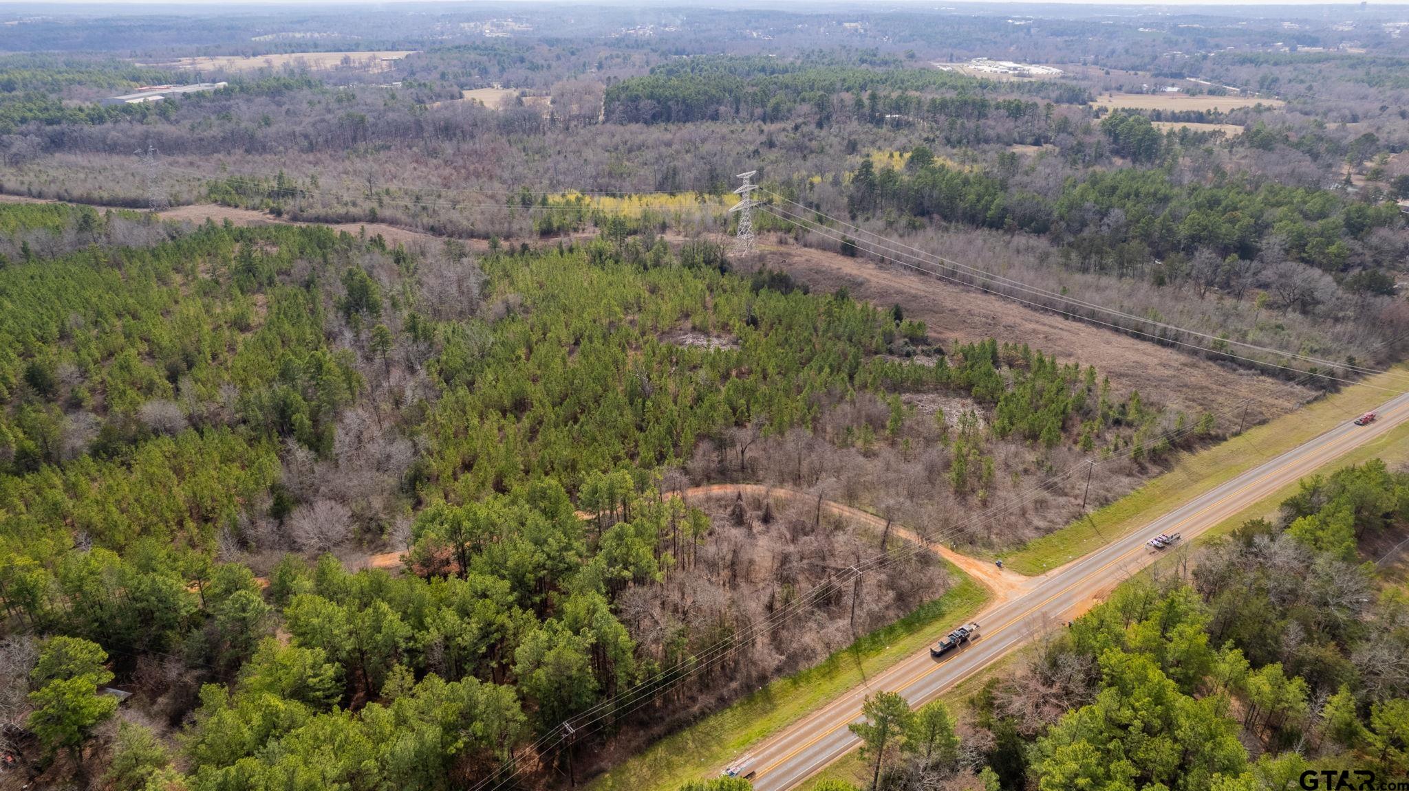 10351 County Road 383 Tyler, TX 75708 - Photo 32 of 33 a view of a forest with a lush green forest