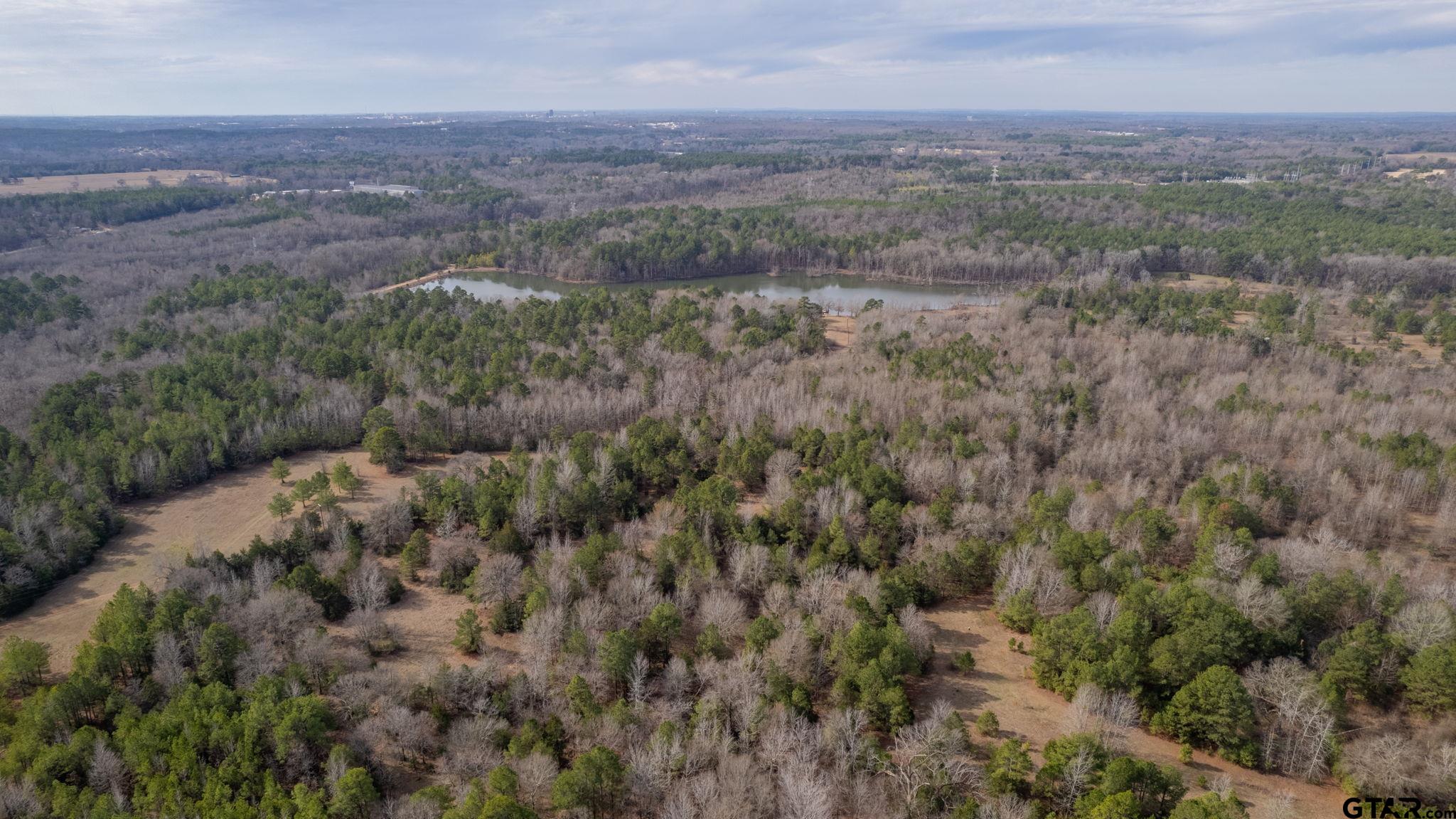 10351 County Road 383 Tyler, TX 75708 - Photo 4 of 33