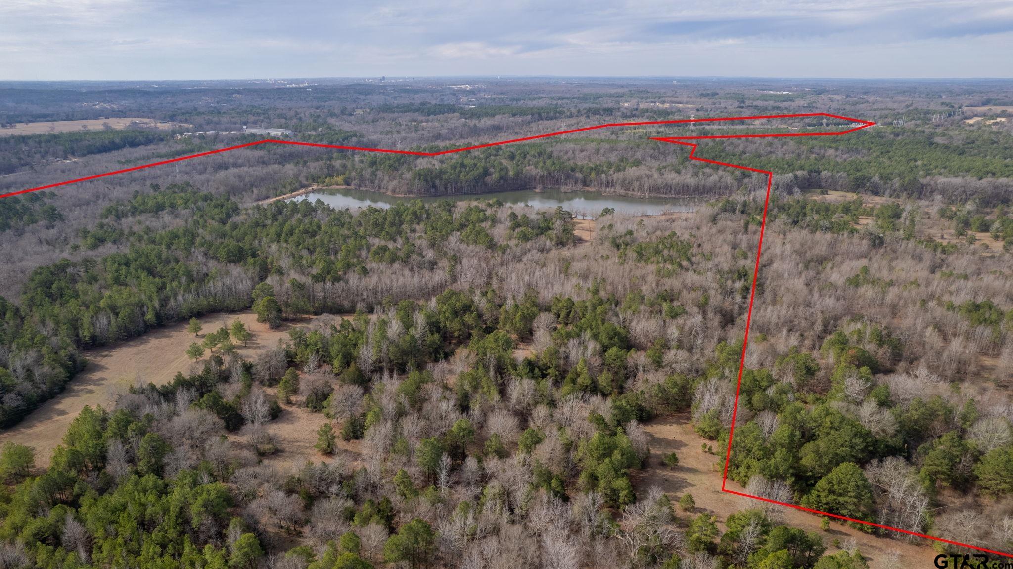 10351 County Road 383 Tyler, TX 75708 - Photo 5 of 33 a view of a field with a forest