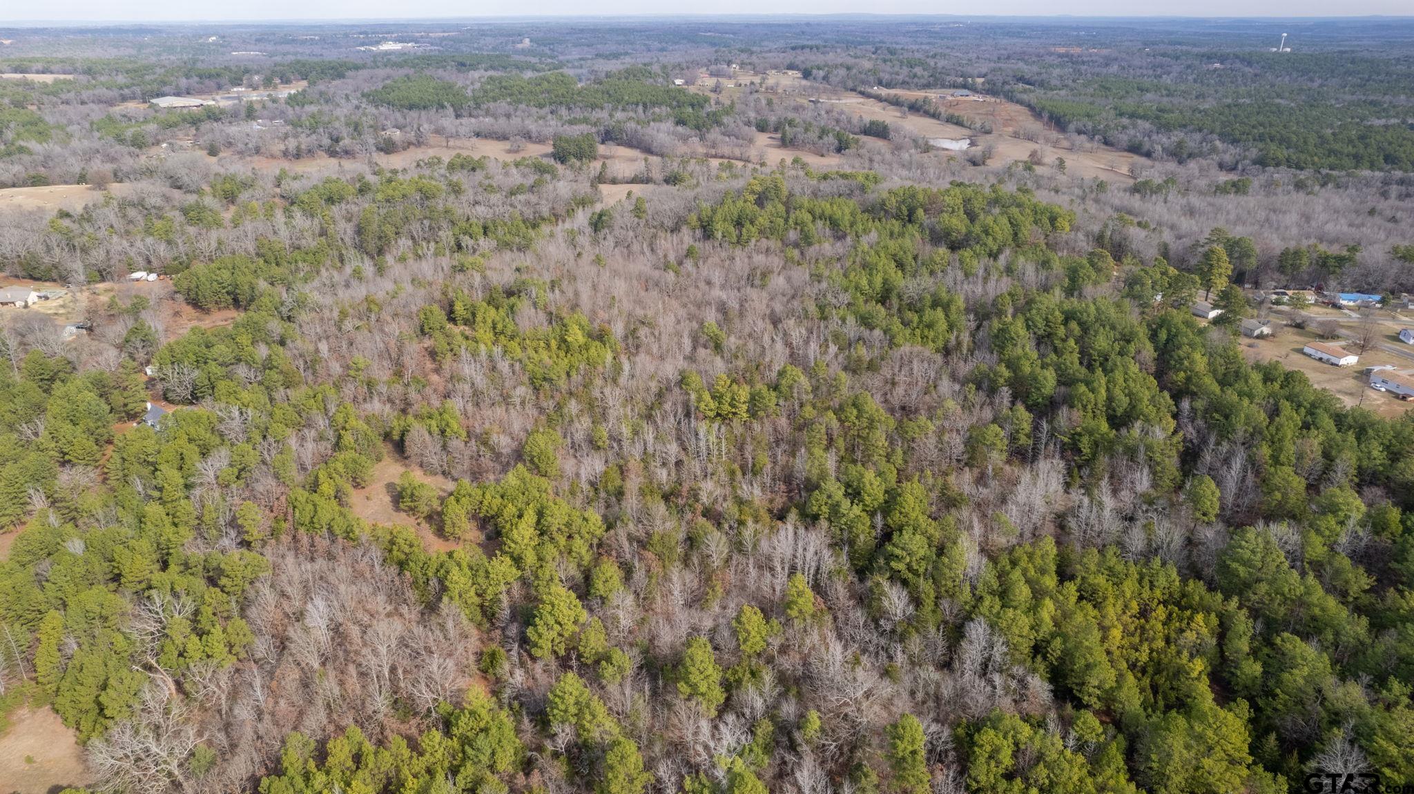 10351 County Road 383 Tyler, TX 75708 - Photo 7 of 33 a view of a city with lush green forest
