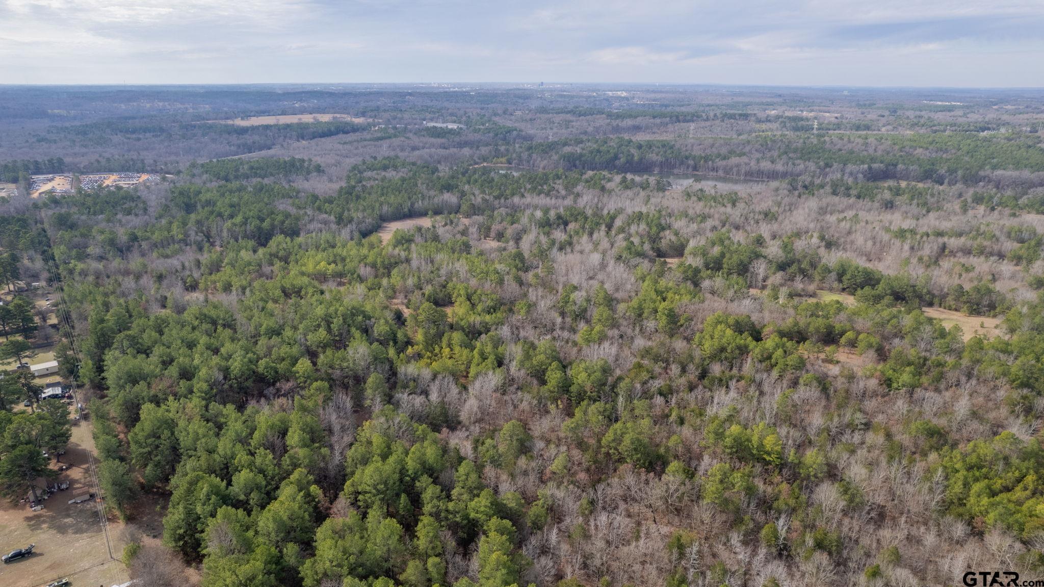 10351 County Road 383 Tyler, TX 75708 - Photo 8 of 33 an aerial view of residential house and green space