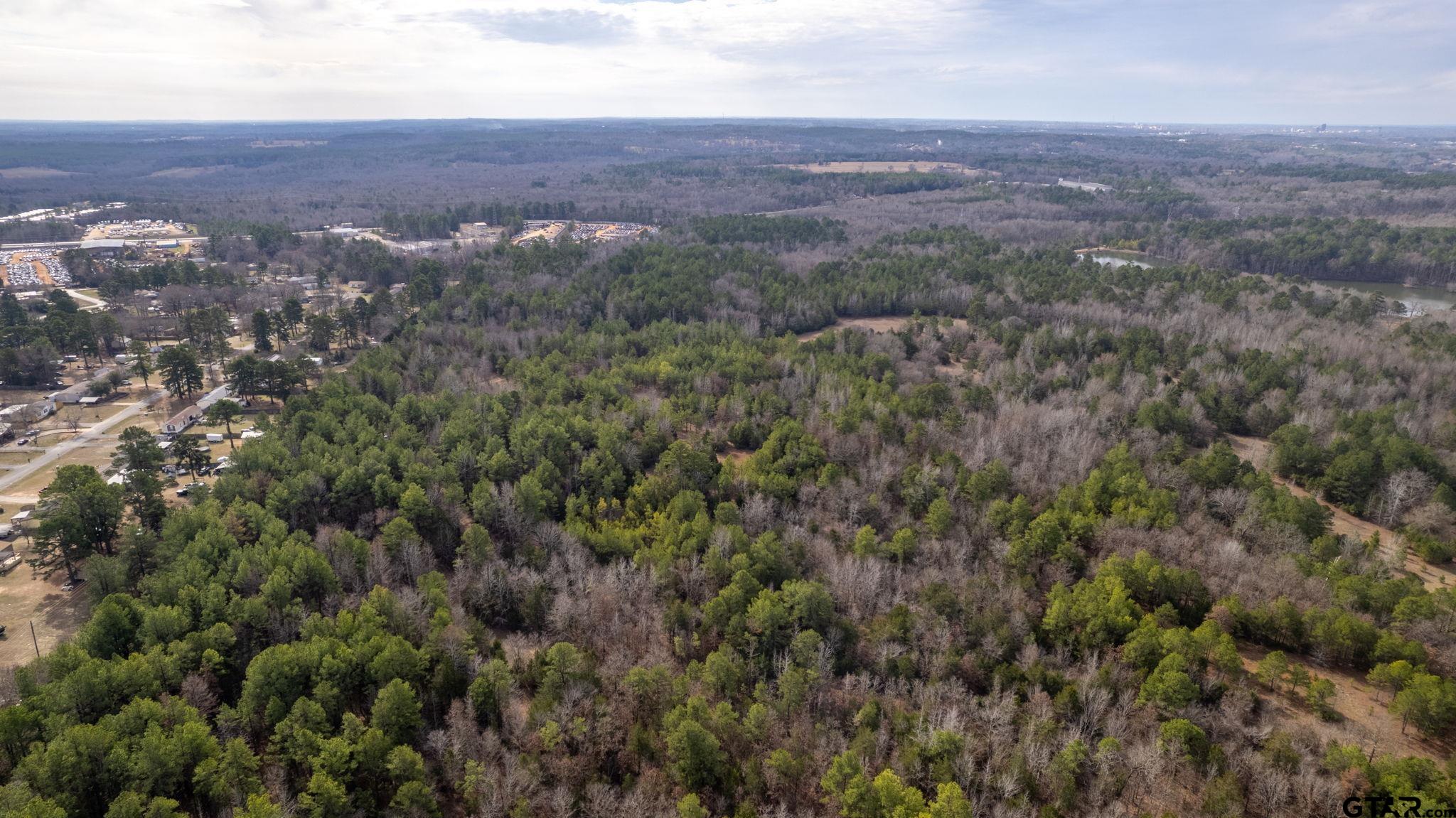 10351 County Road 383 Tyler, TX 75708 - Photo 10 of 33 an aerial view of residential house with and trees