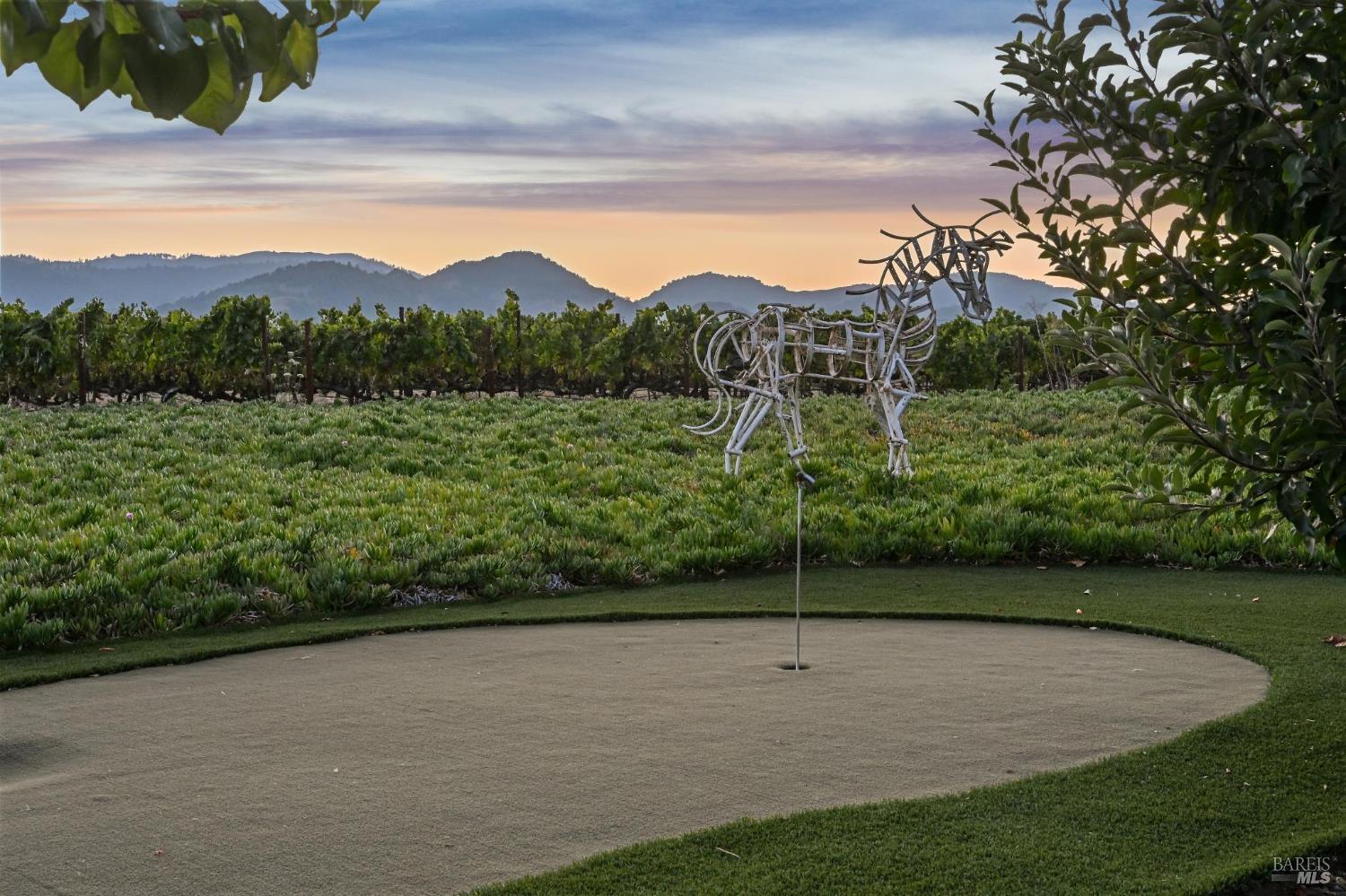 55 Hunter Ranch Road Napa, CA 94558 - Photo 94 of 99 Gallery Image 94