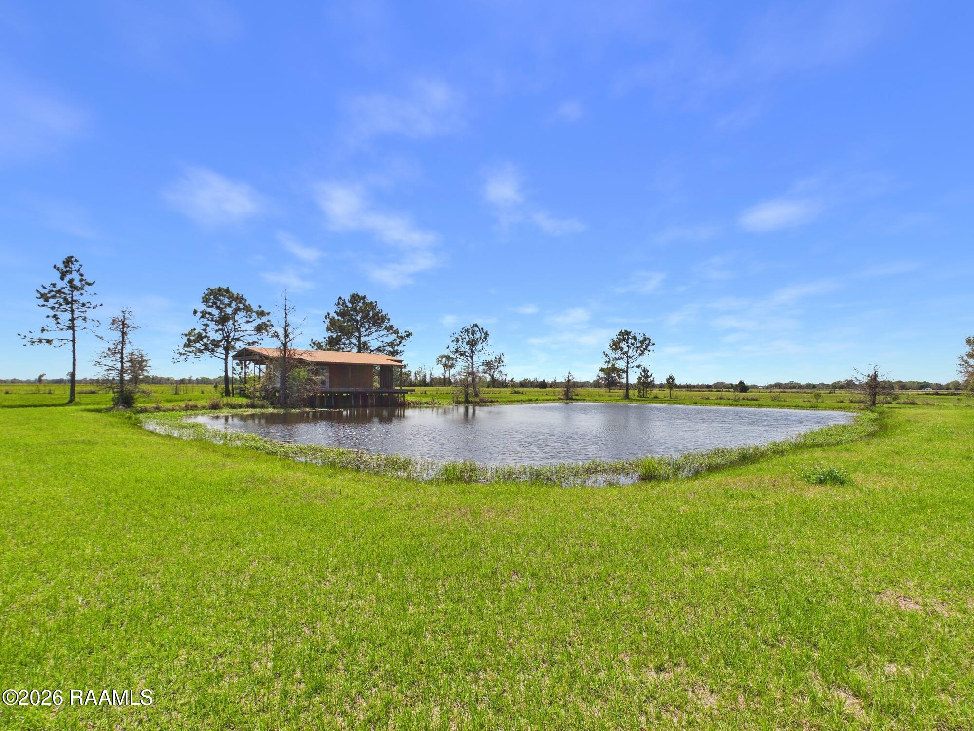3530 Opelousas Road Ville Platte, LA 70586 - Photo 3 of 56 CAM06258G6-PR0050-STILL050