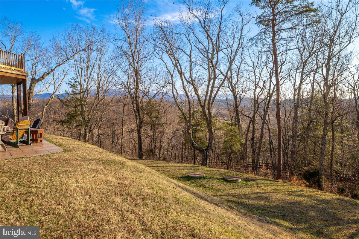 1406 Panhandle Road Bentonville, VA 22610 - Photo 106 of 118