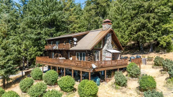 a aerial view of house with a yard and potted plants