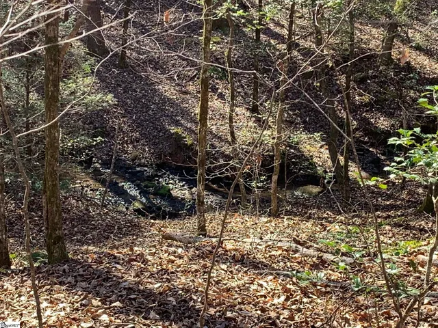 $75,000 | 0 Saw Mill Road, Marietta, SC 29661