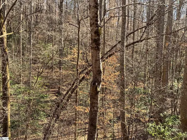 $75,000 | 0 Saw Mill Road, Marietta, SC 29661