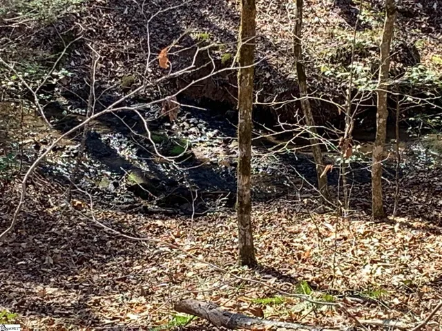 $75,000 | 0 Saw Mill Road, Marietta, SC 29661