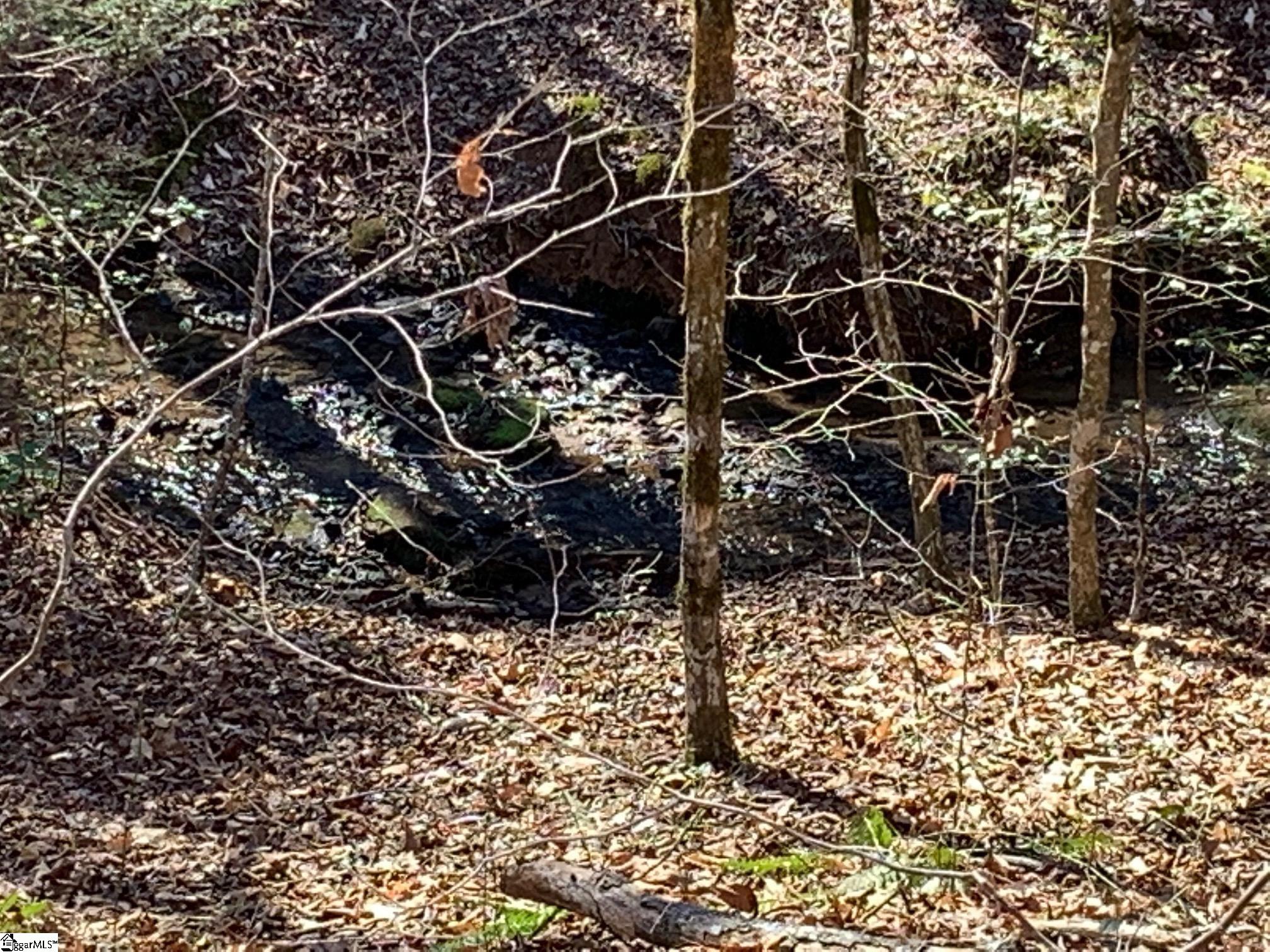 0 Saw Mill Road Marietta, SC 29661 - Photo 2 of 13