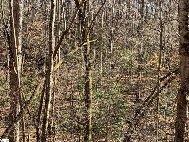 $75,000 | 0 Saw Mill Road, Marietta, SC 29661