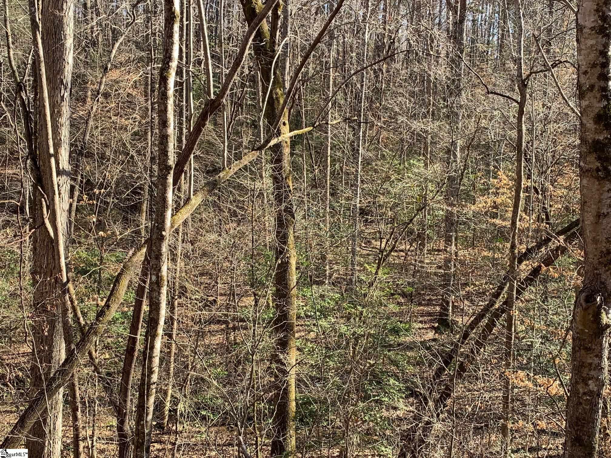 0 Saw Mill Road Marietta, SC 29661 - Photo 3 of 13