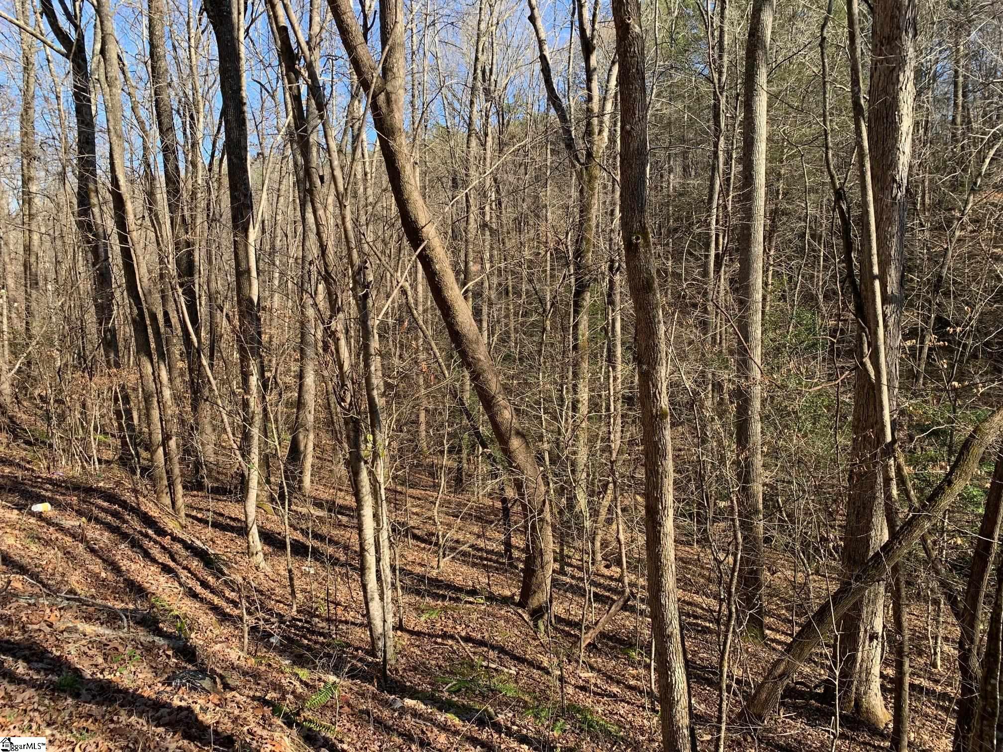 0 Saw Mill Road Marietta, SC 29661 - Photo 4 of 13