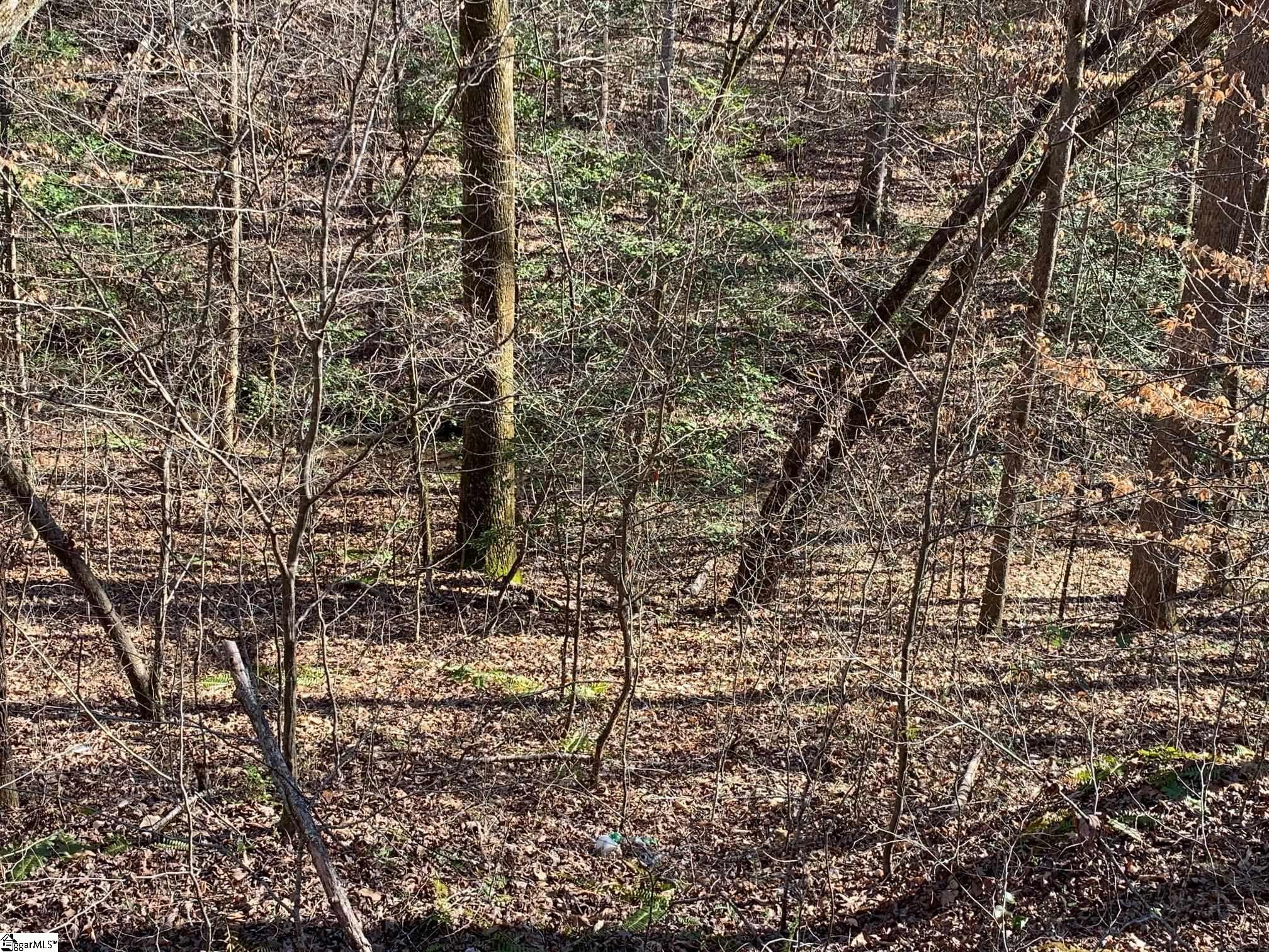 0 Saw Mill Road Marietta, SC 29661 - Photo 5 of 13